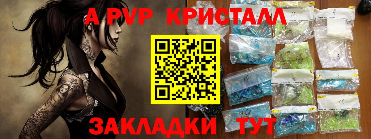 A PVP СК КРИС Воронеж