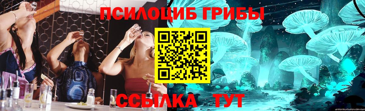 Псилоцибиновые грибы мухоморы Воронеж
